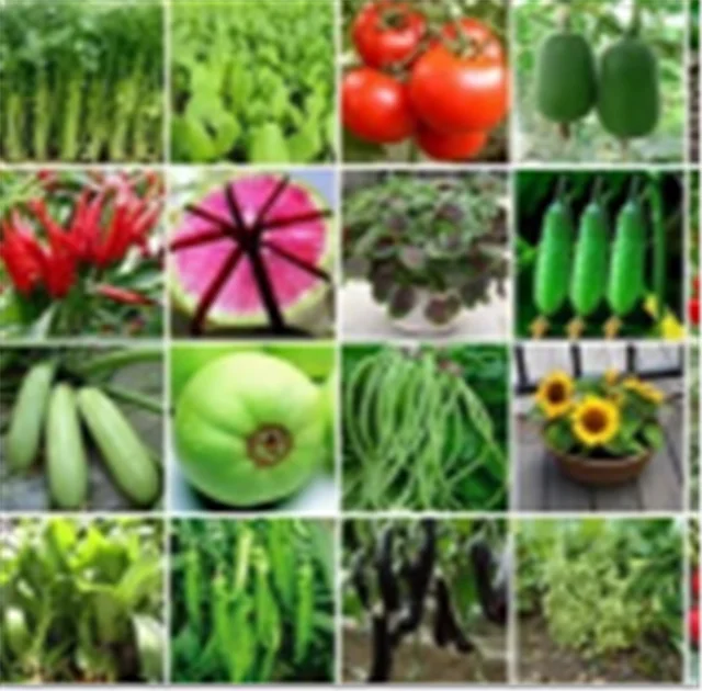 
China supplier All Kinds of Hybrid baby vegetable seeds 