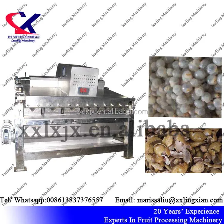 Fresh Litchi (lychee) Fruit 2-3t/h Automatic Litchi Juice Making Machine Lychee peeling and pitting machine