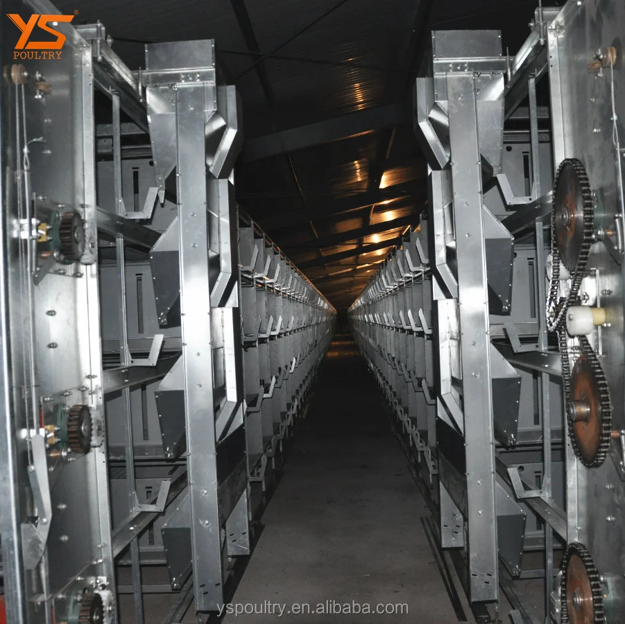 Latest Design H Frame Pullet Metal Chicken Cage