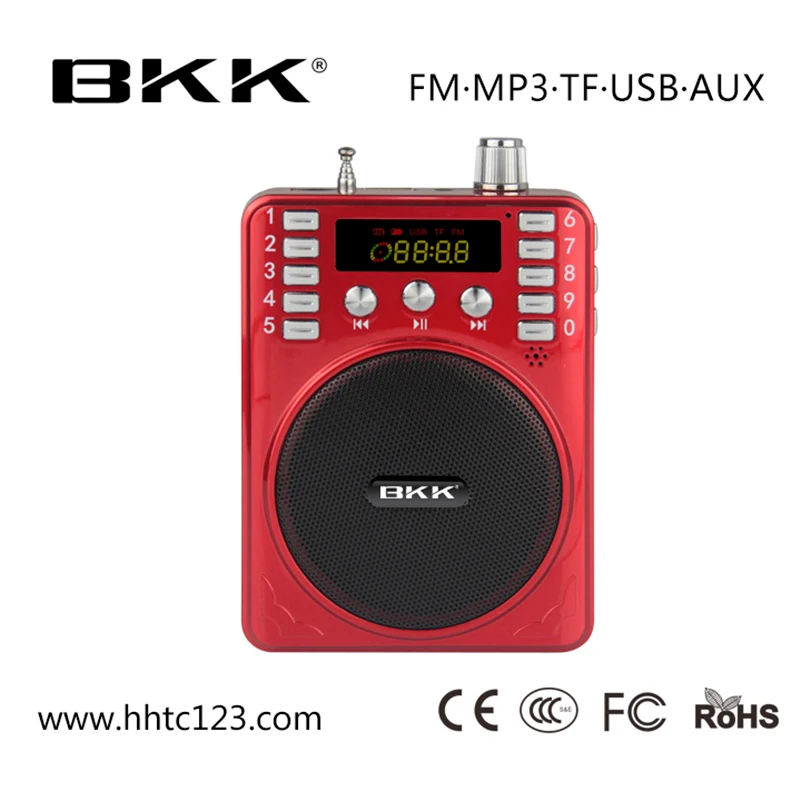 Wireless Mini Amplification Portable Voice Amplifier with TF Card (K207BT)