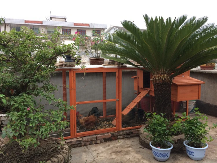 Wooden Large Hen Coop Cat House Pigeon cage With Outdoor Run