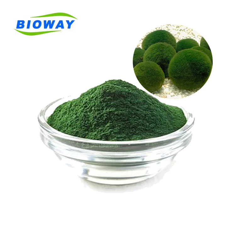 
Bulk Wholesale Blue Organic Spirulina Powder 