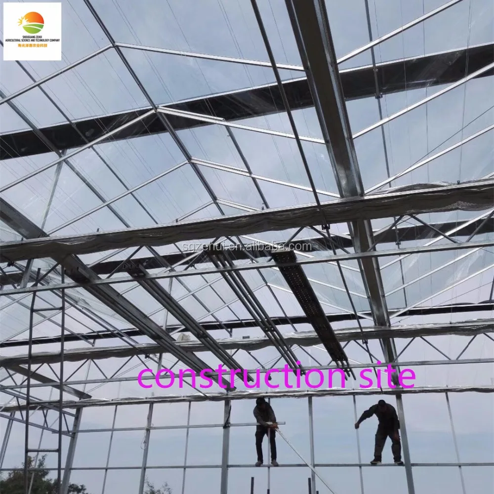 Multi-span intelligent commercial glass greenhouse
