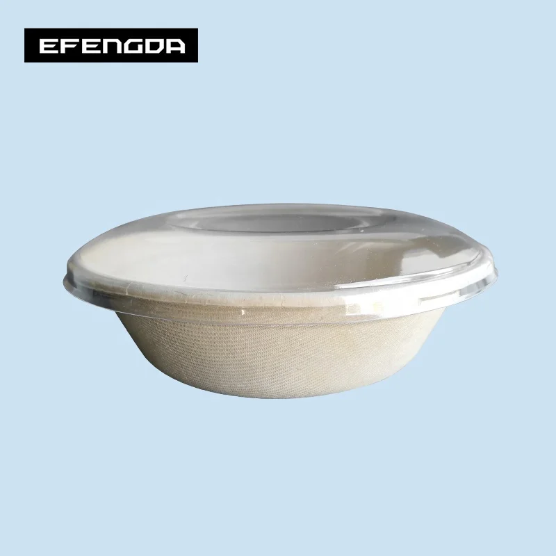 Eco-Friendly biodegradable disposable sugarcane bagasse tableware plates bowls boxes cups