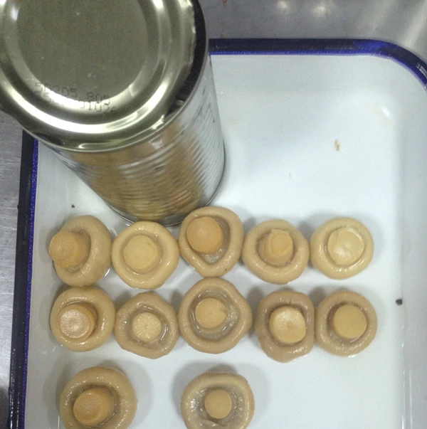 
Canned Style and 24 Shelf Life canned champignon mushroom 