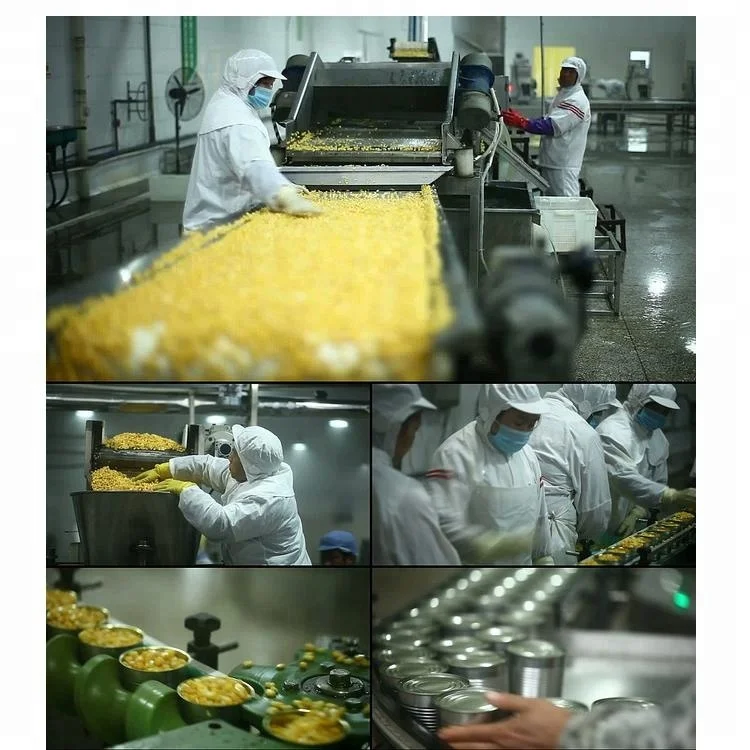 
Automatic filling machine canned grain granule sweet corn packing machine in canned sweet corn processing machine 