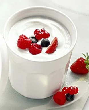 Yogurt Production Lin/Ice Cream Processing Plant