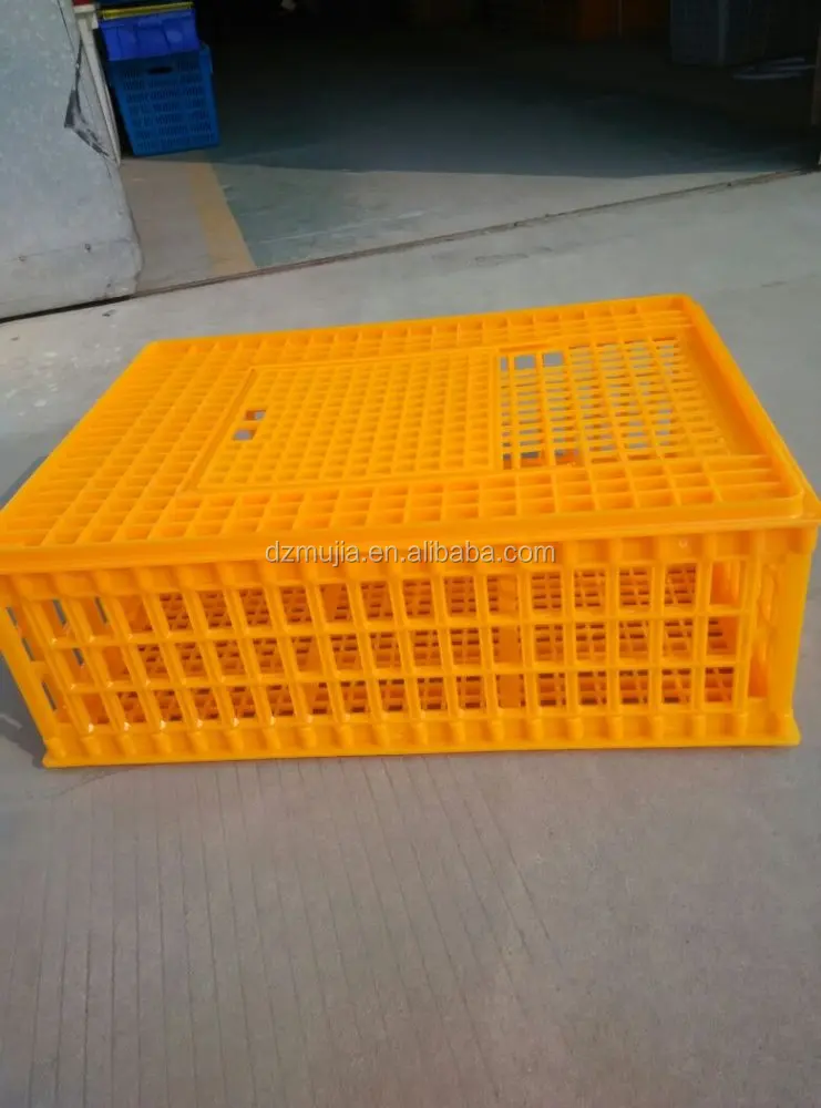 
Chicken cage for Live chicken transportation /Transfer Plastic chicken transport basket /Crate 