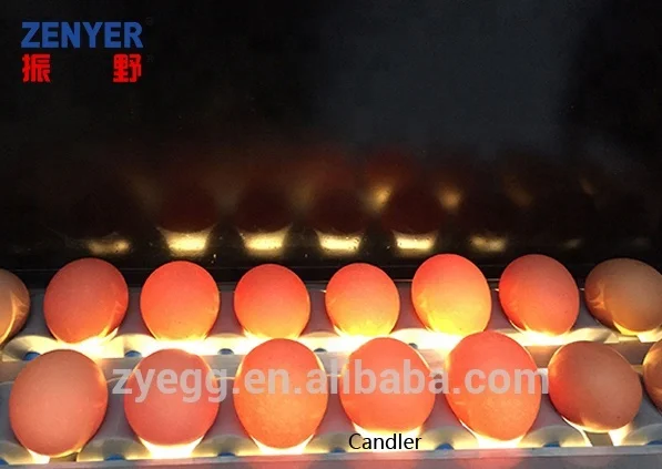  Яйцо фермеров любимых горячих продается яйцо грейдер классификатора машин
