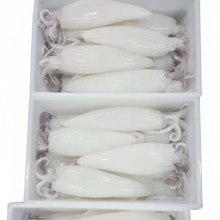 
good quality IQF squid T+T squid tube & tentacle squid t+t Frozen squid T+T 