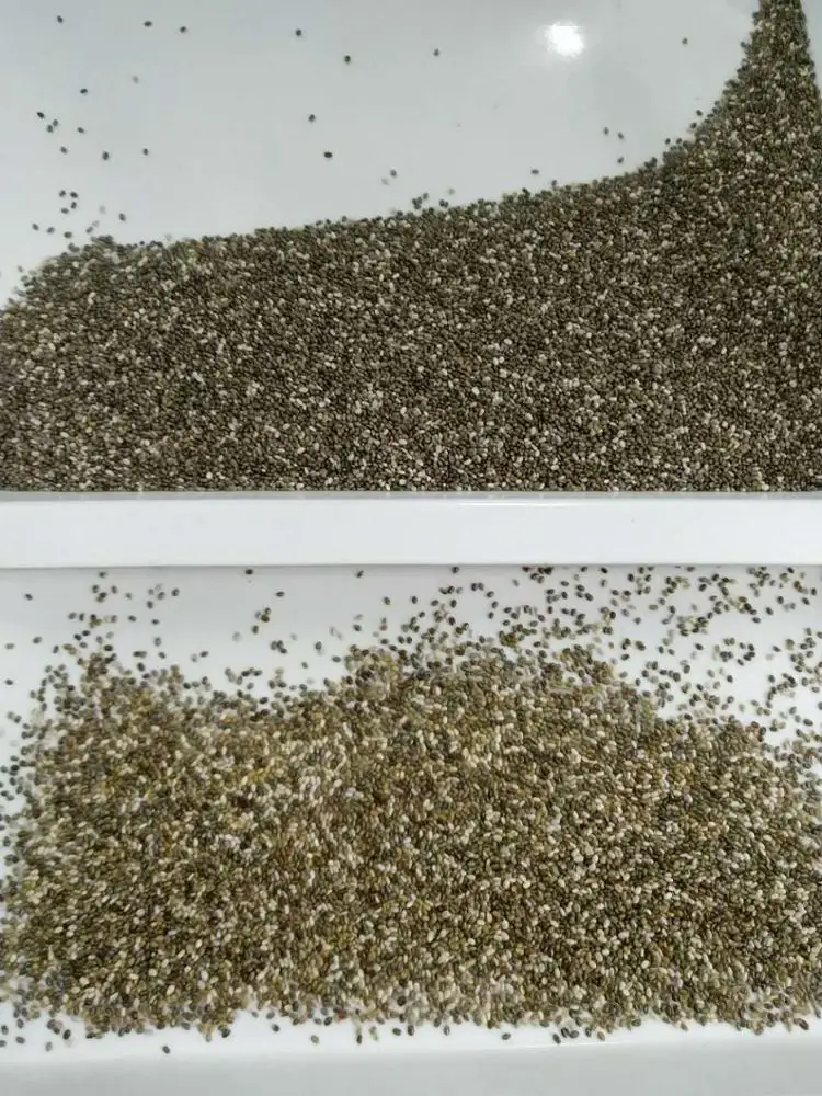 Melon Seed Processing Grader Machine Hemp Seeds Sorting Machine