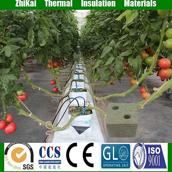 Салат и выращивания томатов средний Rockwool кубики для гидропоники посадка