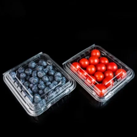 Packing Tray Automatic Plastic Vacuum Forming Machine Factory