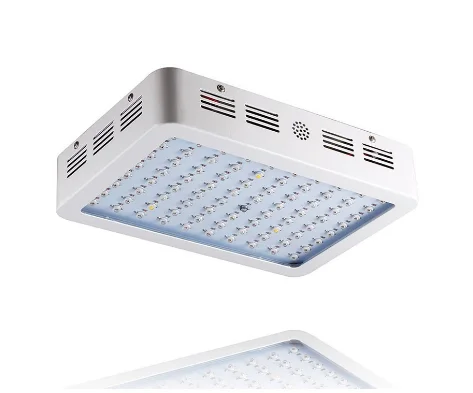 300W 450W 600W 900W 1000W 1200W 1600W 2000W double chips Full Spectrum Hydro LED Grow Light