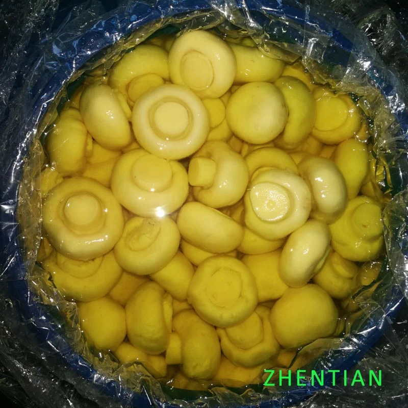 
Champignon mushroom in drums 