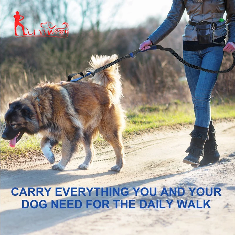 Premium Hands Free Running Lead Dual Bungees with Waist Belt , Training Treat Pouch, Hands Free Dog Leash Set for Walking Hiking