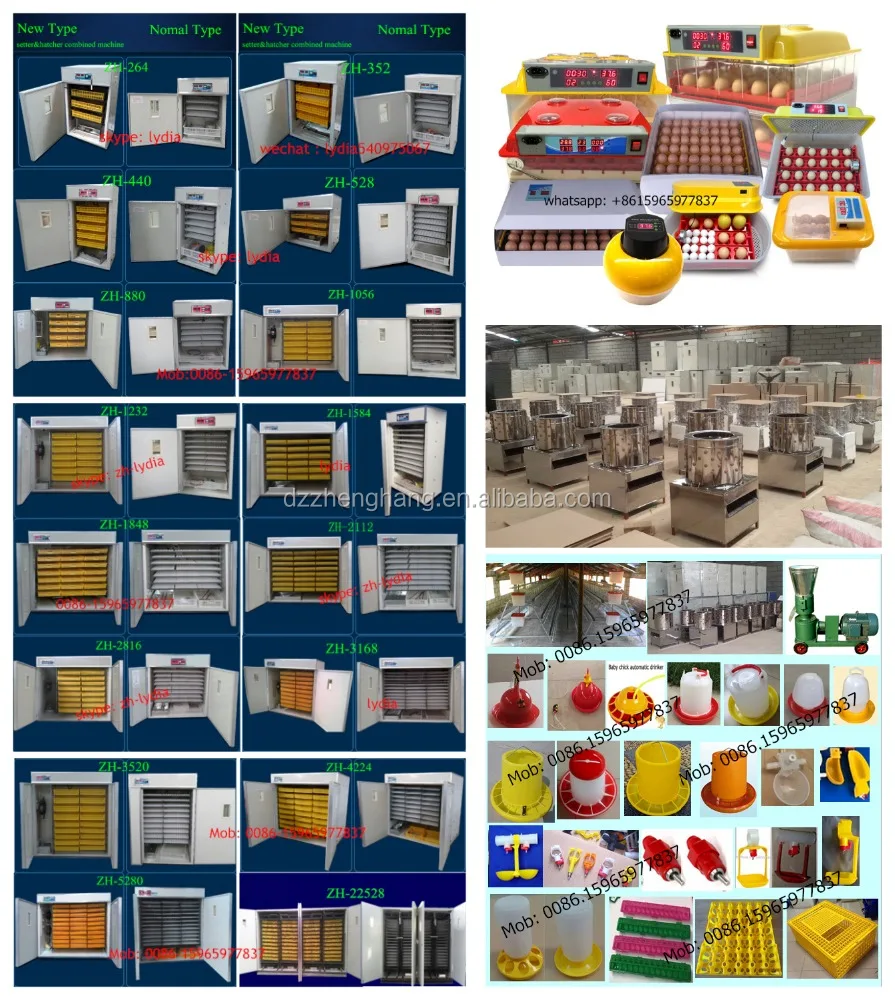 Top selling newly design full automatic mini egg incubator hatching 48 eggs for sale