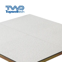 Low Price Data Center 600x600mm Steel Panel Raised Access Floor Pedestals