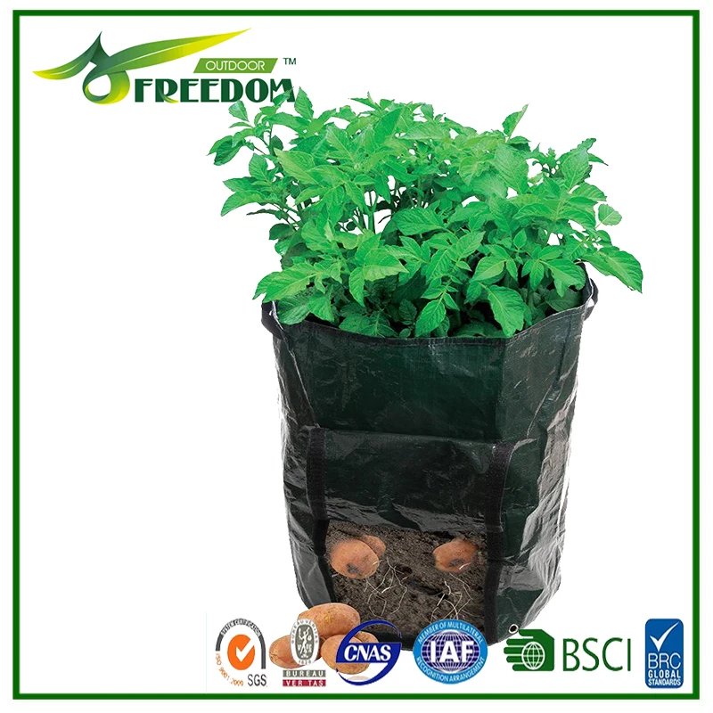 Пластиковые Расти Мешок Овощей Сад Плантатор Корнеплодов Урожая