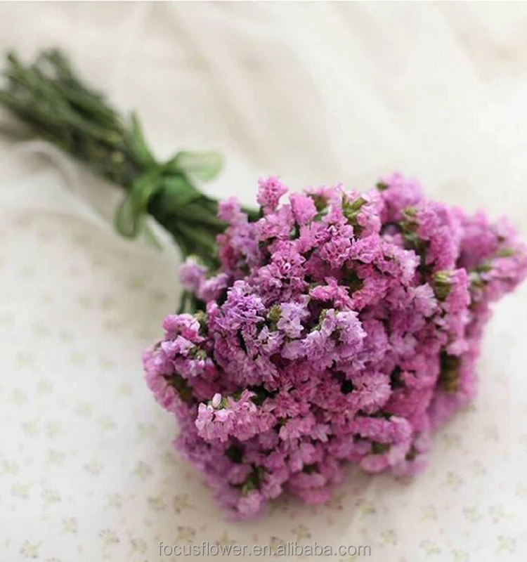 The best fresh cut statice flower from Yunnan for gift