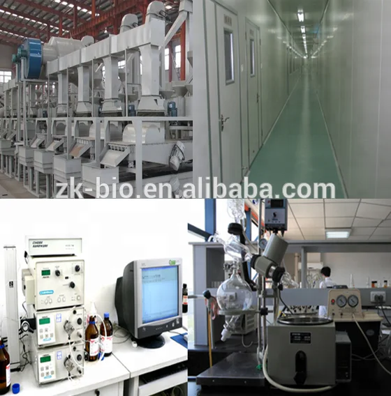 Натуральный аллицин Alliin без запаха экстракт чеснока в порошке