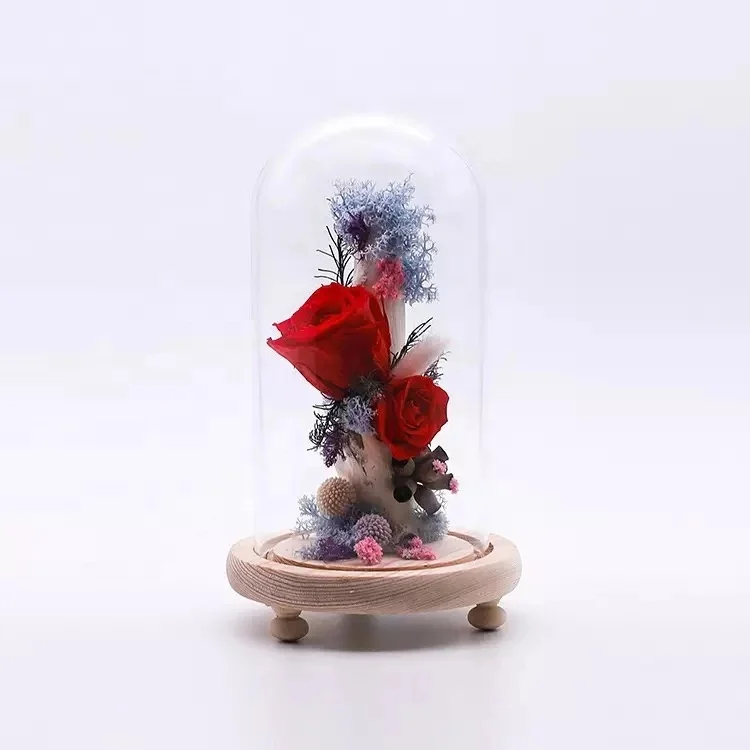 High quality preserved rose from preserved rose dome
