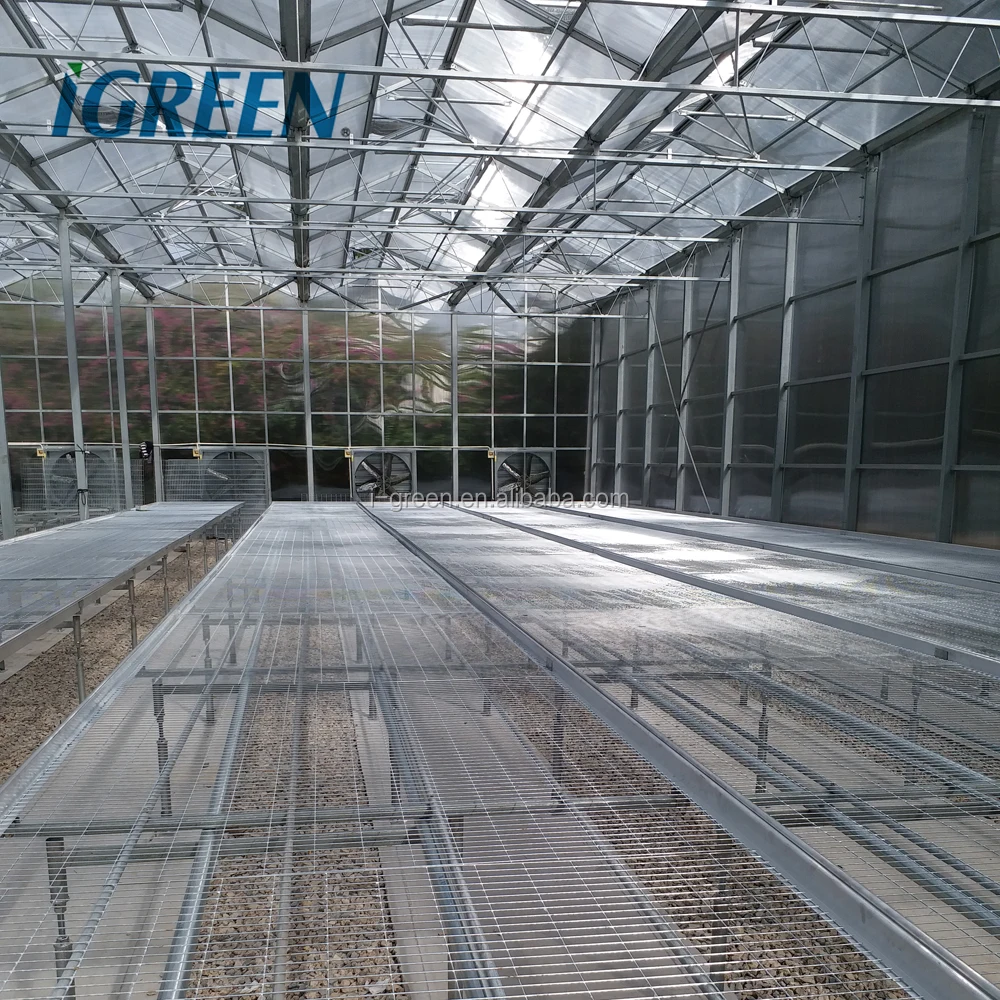 Multi span polycarbonate greenhouse pc greenhouse structure