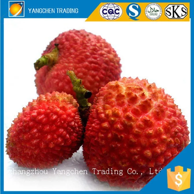 Tropical fruits names all fruits canned lychee in heavy syrup for singapore