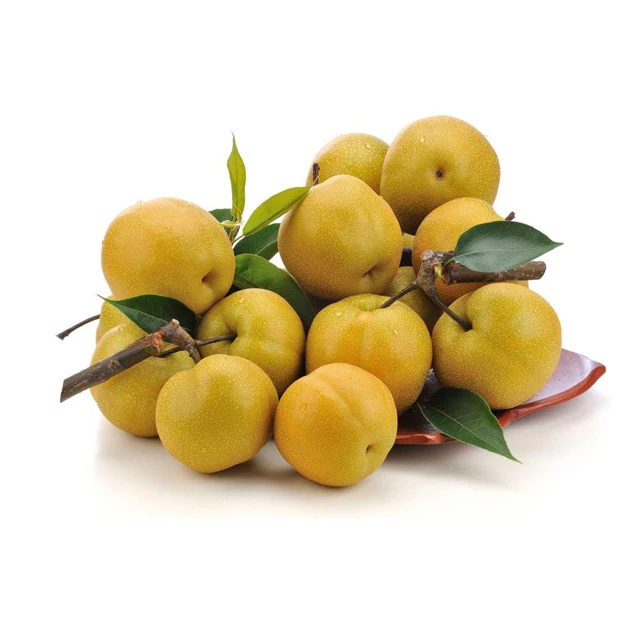 China fresh Ya Pear/Singo Pear/Golden Pear for sale Asian Pear Sand Pear price