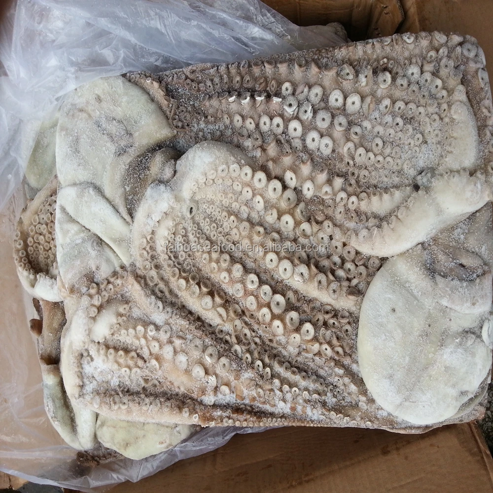 Frozen IQF and Clean Giant Octopus