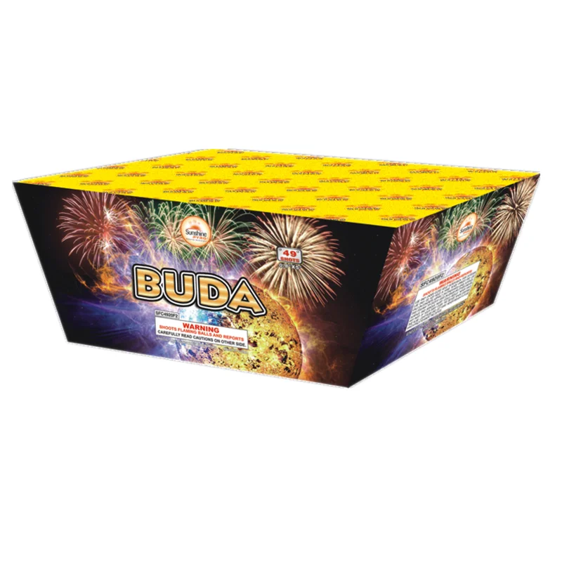 Hot sale safety 100S fan shape cake fireworks with competitive price for sale