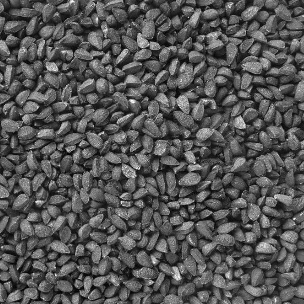 
S539 Yang Cong 100% Pure Nature Chinese Vegetable Red Onion Seeds For Planting 