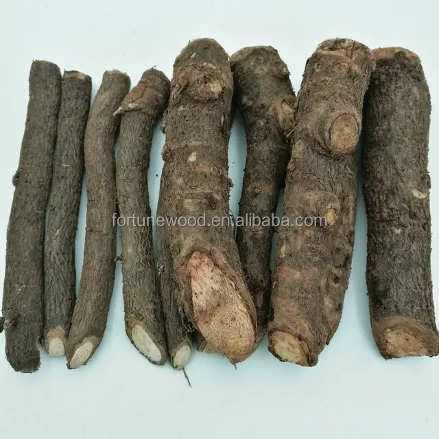 
Быстрорастущее дерево paulownia относительная резка корней для посадки 