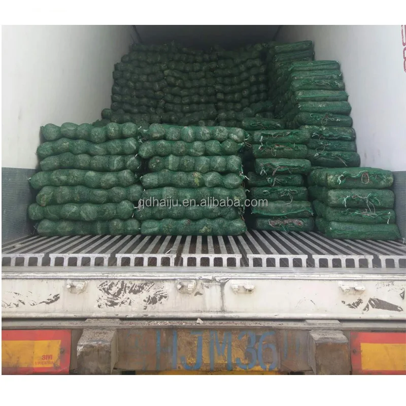 Growing shiitake mushroom oak wooden with factory direct price