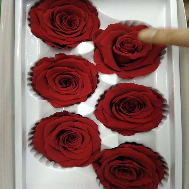 
High quality of preserved roses artificial plant 