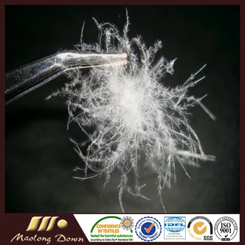 
650FP Wuzhen Washed White Duck Down 90% High Quality 