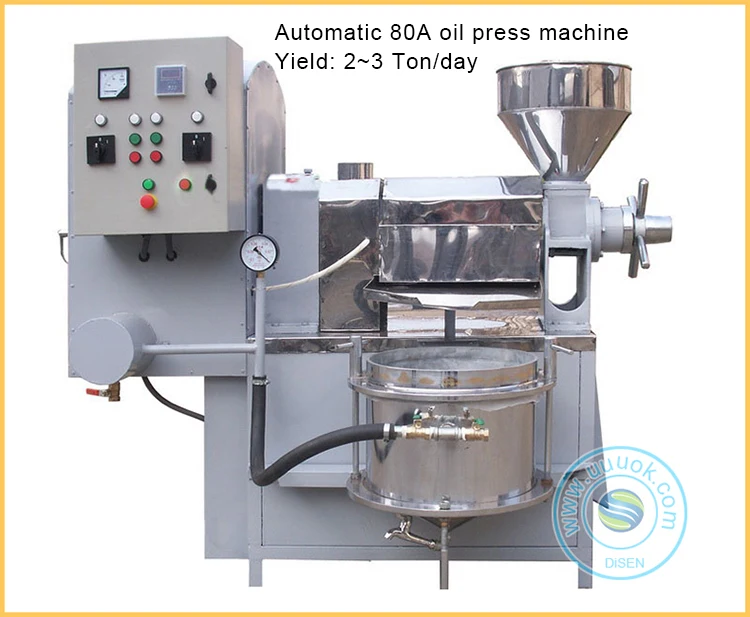 automatic commercial palm sunflower avocado olive black hemp seed coconut peanut cold screw oil press machine