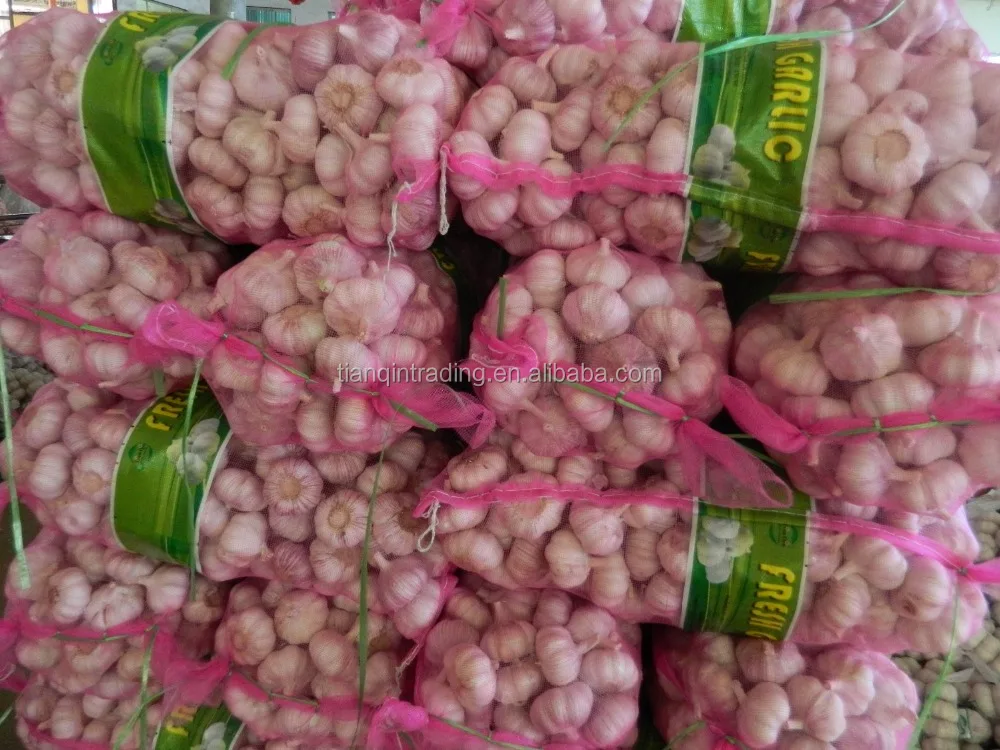 fresh garlic with garlic bag in China