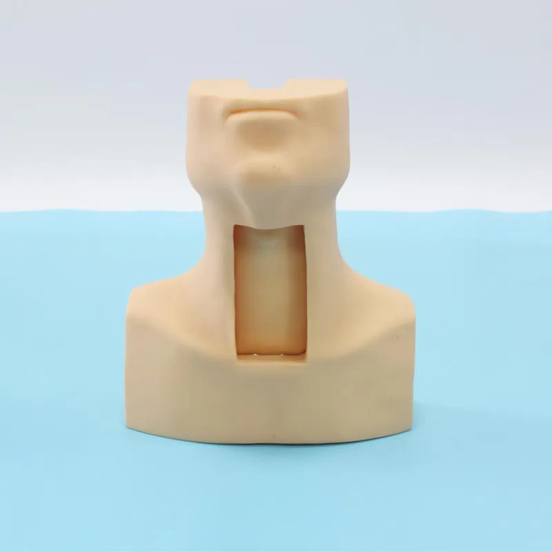 Sale Human Nasogastric Tube Trachea Surgical Nursing Newborn Inbutation Training Model Electronic Airway Intubation Simulator