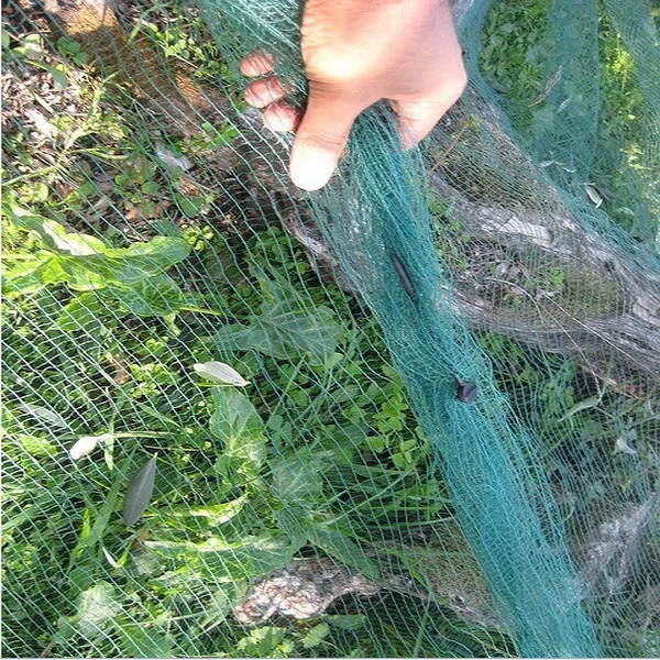 olive collecting net Safe and high quality dark green fruit picking network olive net