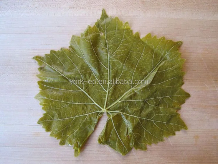 
High quality canned salty vine leaves 