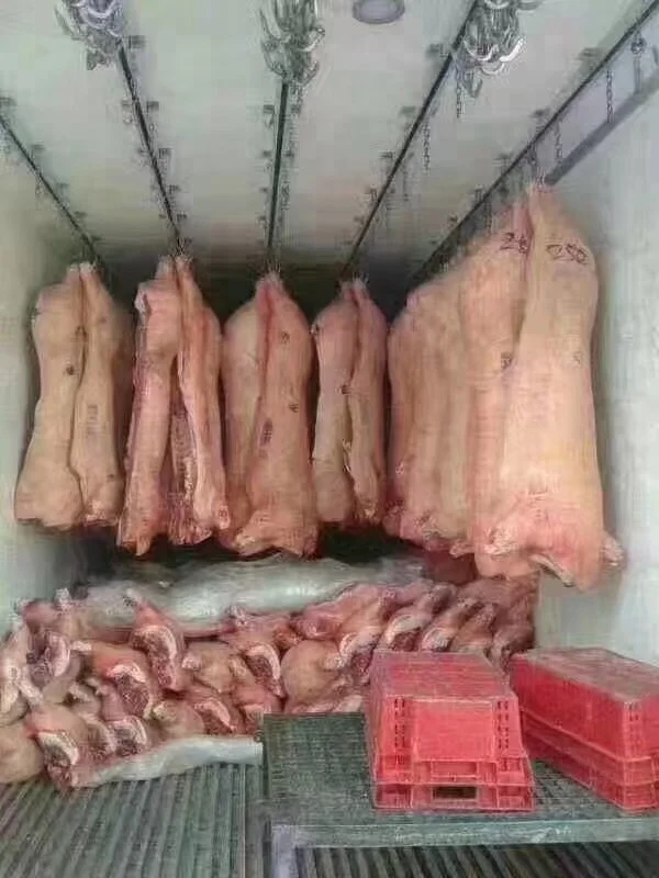  Кузов рефрижераторного