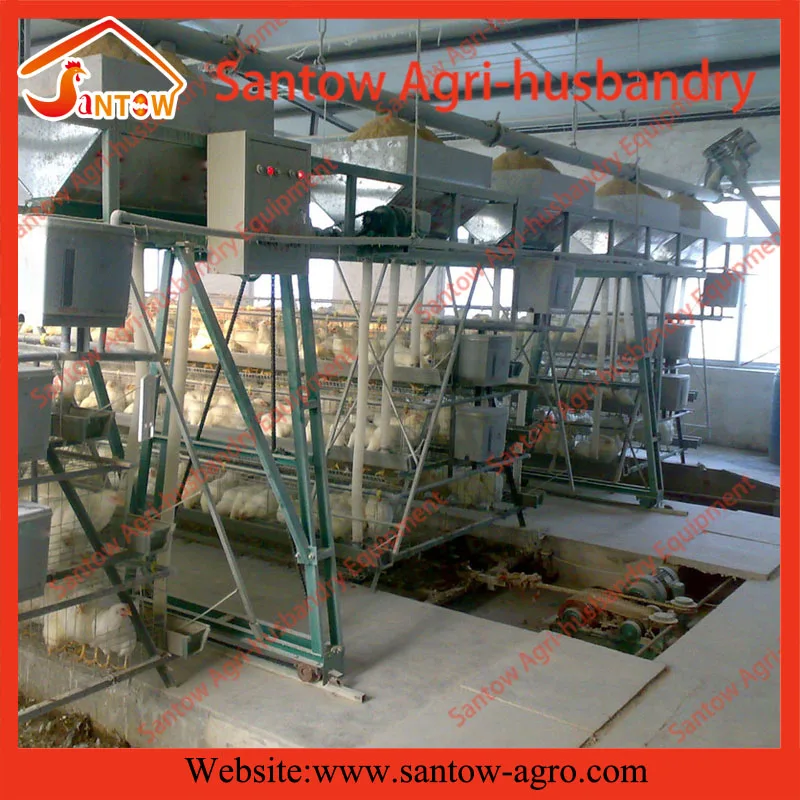 Senegal Battery Chicken House Designed Lowest Price Chicken Layer Cage For Sale( guangzhou Factory )