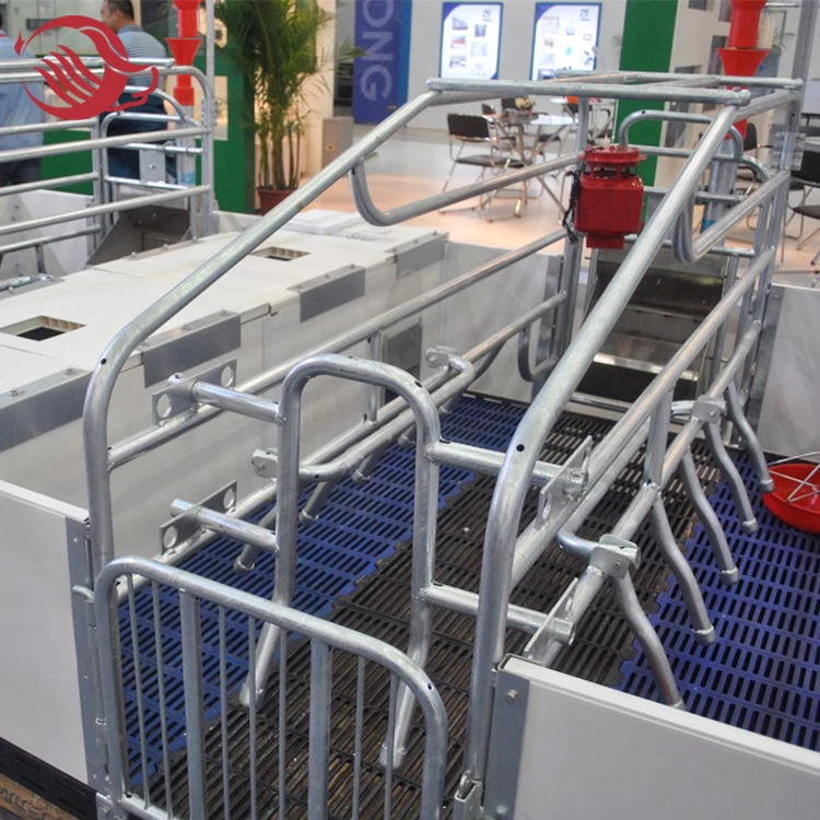 Piggery Farm Equipment, Galvanized Pig Farrowing Crates
