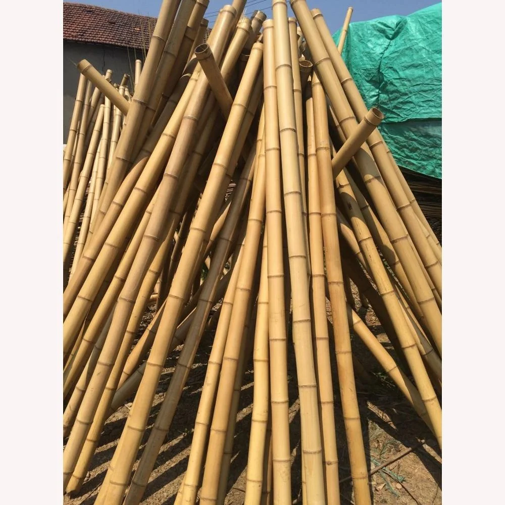 natural Bamboo Pole price cheap