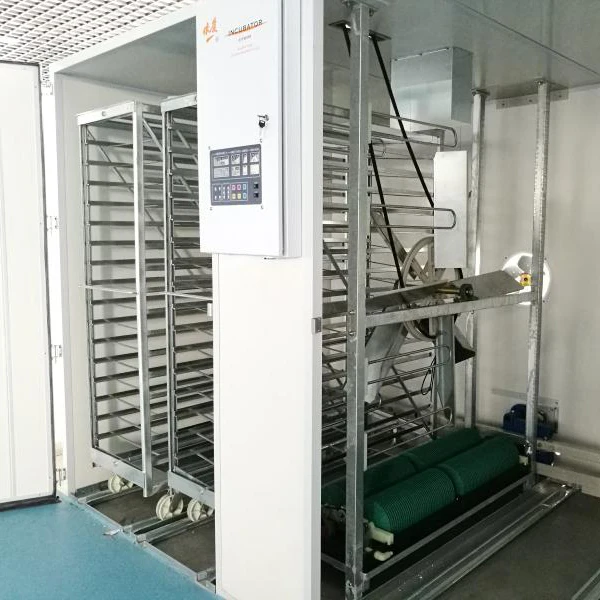 
Big Farm poultry chicken egg incubator 