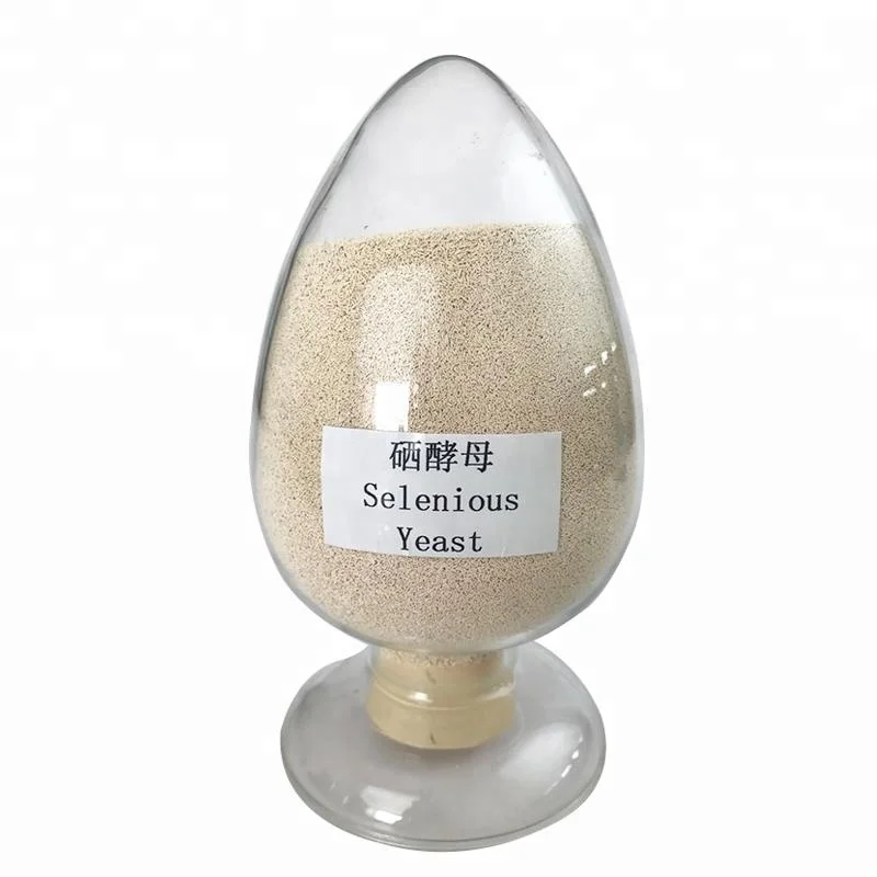 
Good Quality of dry Yeast for selenium yeast 