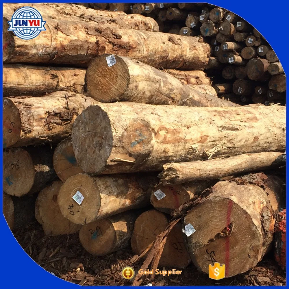 kaingaroa logging company export log uses for pine logs pinus radiata australia