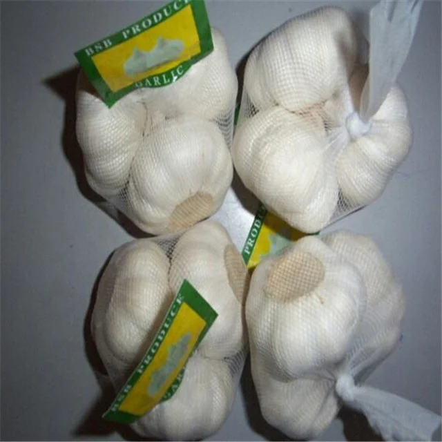 Fresh Alho Chinese 4p Pure White Garlic Seeds for Sale to Dubai Market