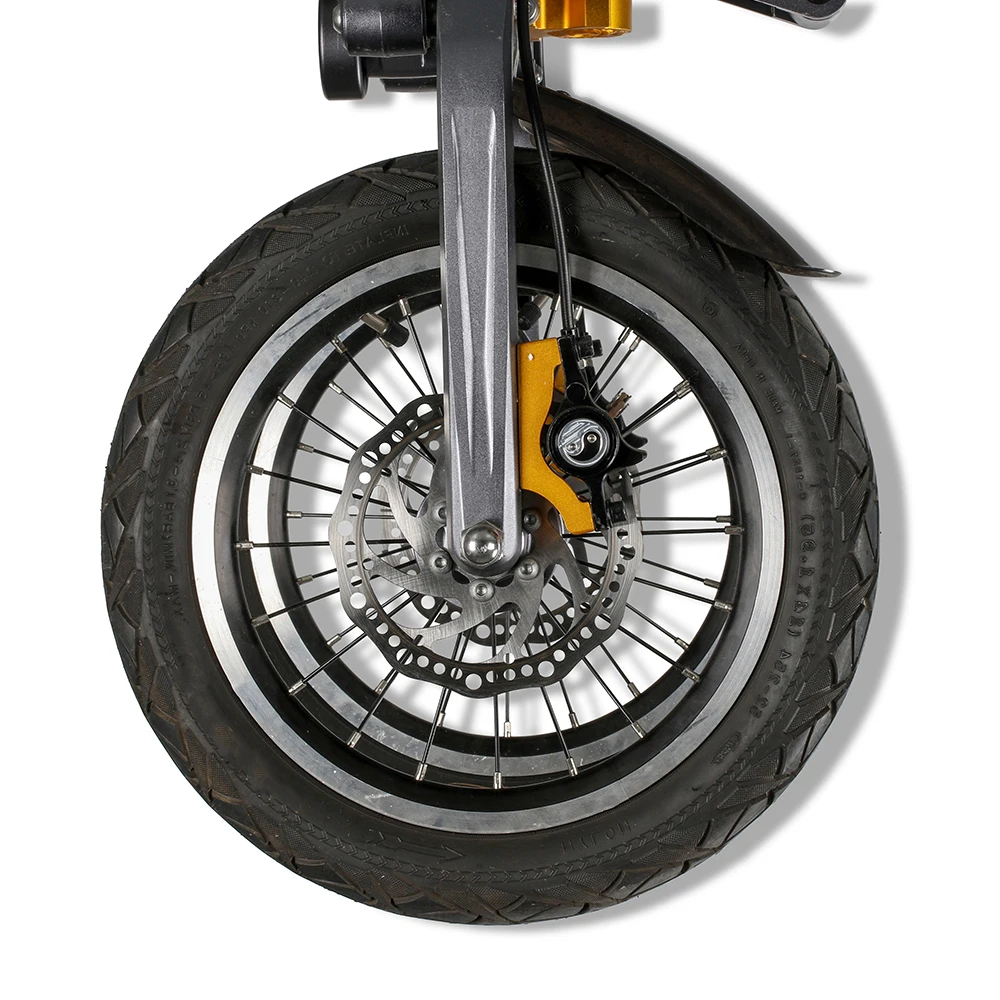 EcoRider E6-7 250W Electric Bike for Adult Electrical Motorcycle City Road Electric Bicycle